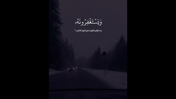سورة المائدة – آية ٧٤ | القارئ عبد الرحمن مسعد