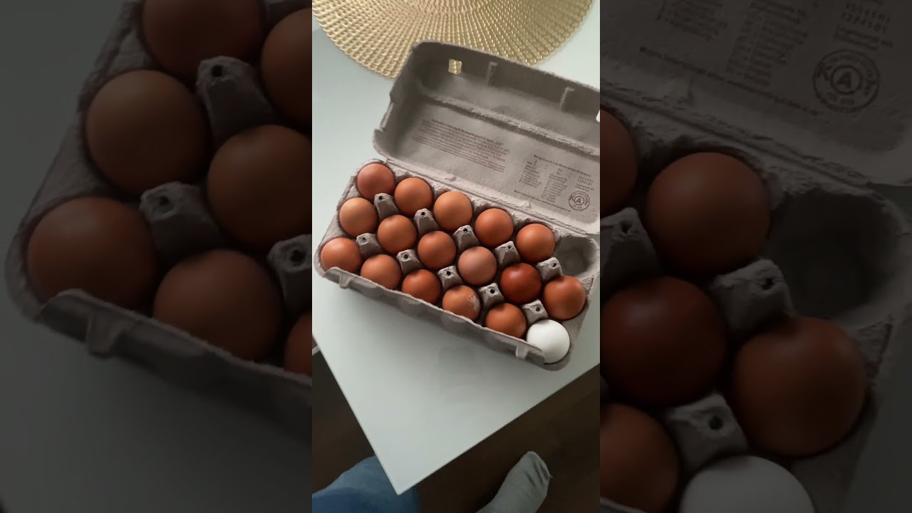How Much Do Eggs Cost in Germany🥚🇩🇪 