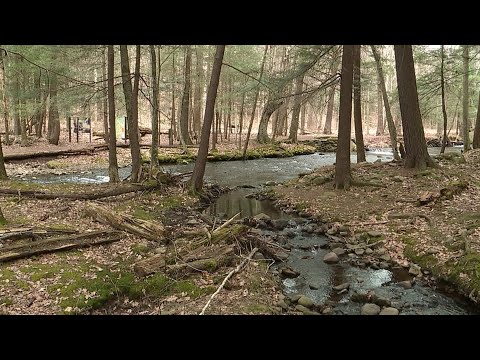 Video: Ricketts Glen State Park: Den komplette guide