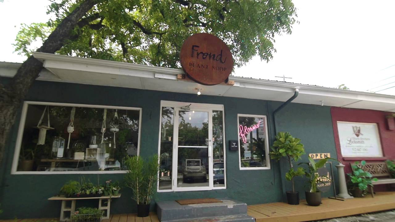 Frond Plant Shop Austin YouTube Frond Plant Shop Austin YouTube