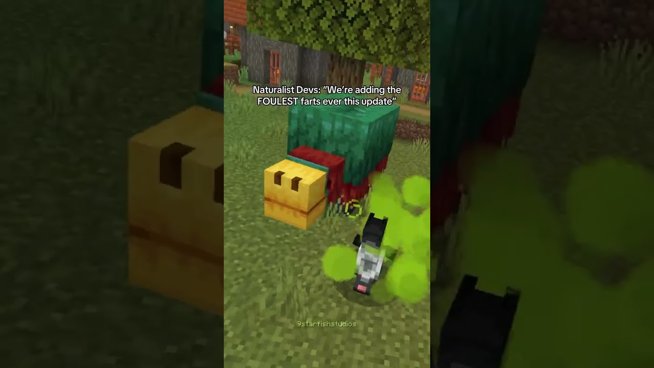 Да, наши скунсы пукают 