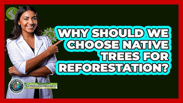Why Should We Choose Native Trees For Reforestation? - Earth Science Answers