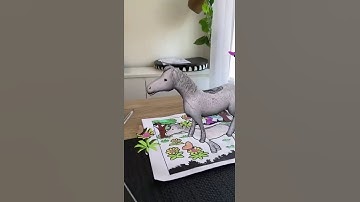 Vignette - Informative Writing video