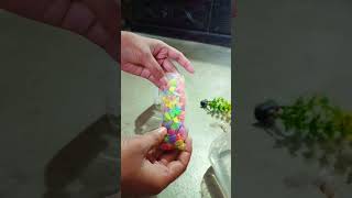 Mini Aquarium Setup #fish #aquarium #trendingshorts #water #aquariumfish #worldenvironmentday #viral