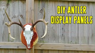 DIY European Mount Display Panel – Deer Skull Mount