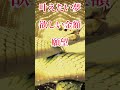 【白蛇様】大金を引き寄せる！眺めるだけで金運上昇！#shorts