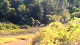 Crouching Human Hidden Sasquatch (stabilized) - YouTube.flv
