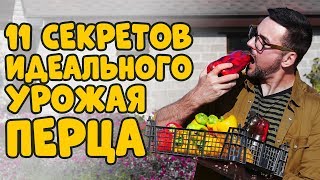 11 СЕКРЕТОВ ВЫРАЩИВАНИЯ СЛАДКОГО ПЕРЦА\\\\ ЛУЧШИЕ УРОЖАЙНЫЕ СОРТА