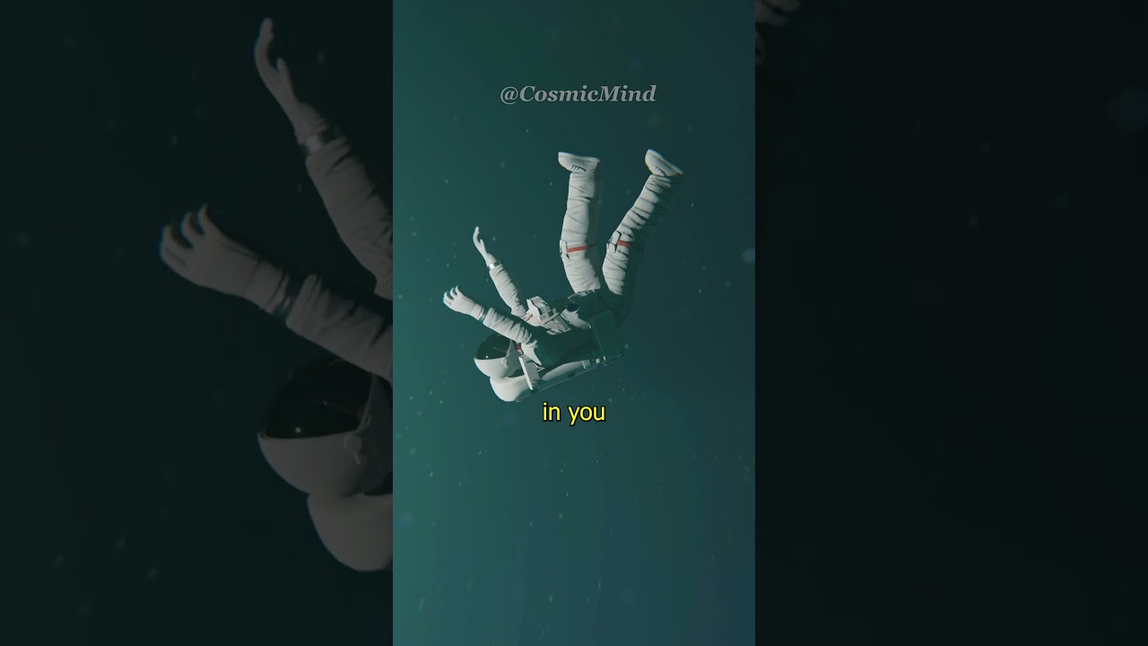 What If You Fell Into a Wormhole