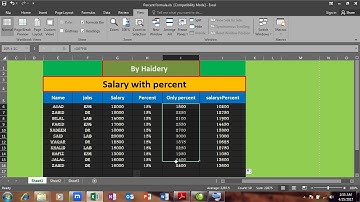 Ms.Excel 2016 Lesson 14  Pashto (percent 2nd day)   by    RAHIM HAIDERY