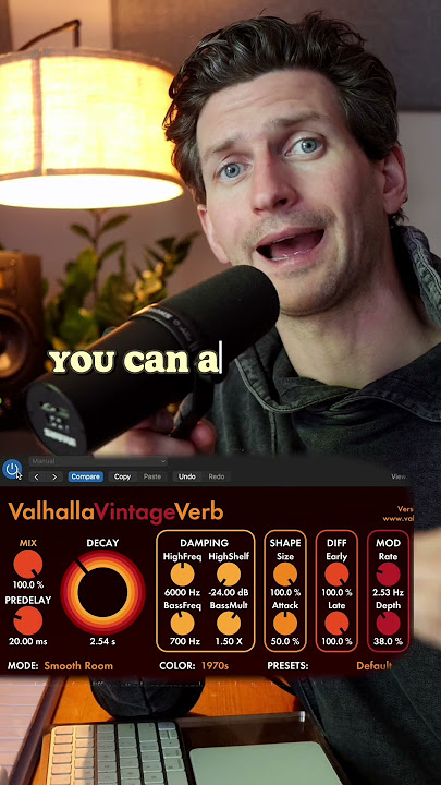 putting reverb in a delay
