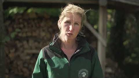 MNM horizontale promotievideo zonder ondertiteling