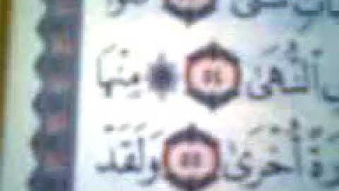 ما تيسر من سوره طه للشيخ ناصر عبد الحليم قناوي