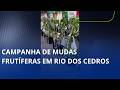Campanha de mudas frutíferas