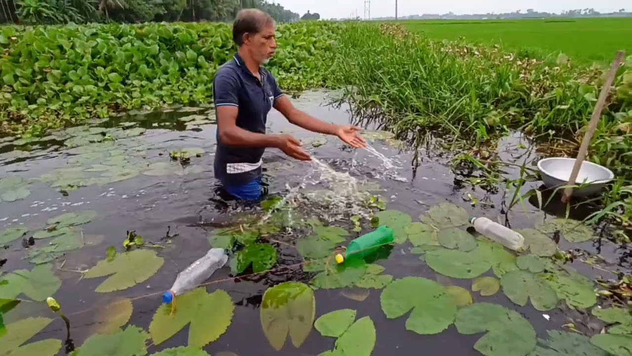 Fishing video // New method of pond fishing with hook // PM Desi Fishing