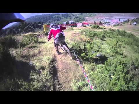 DH Seli 2011