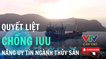 TP. Cần Thơ siết chặt quản lý tàu cá | VTV CẦN THƠ