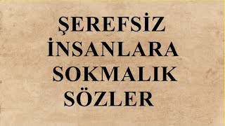 Şerefsiz İnsanlara Sokmalık Sözler