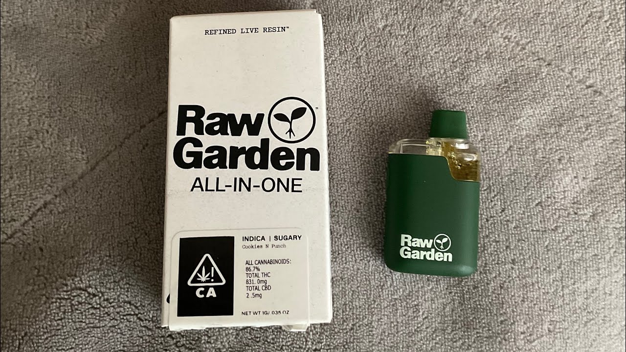 RAW GARDEN ALL IN ONE 1G Одноразовые печенья и пунш 🍪