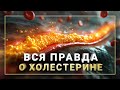 Холестерин: Враг или друг? Все факты о здоровье и атеросклерозе