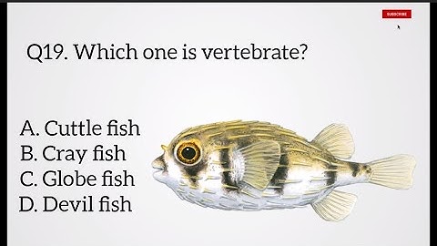 CEE 2081/2025 MBBS questions paper zoology part 1 || Memory Based || zoology #biology