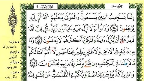 الصفحة 132- سورة الأنعام -مكررة 7 مرات للتثبيت _ الشيخ ياسين الجزائري {رواية ورش}