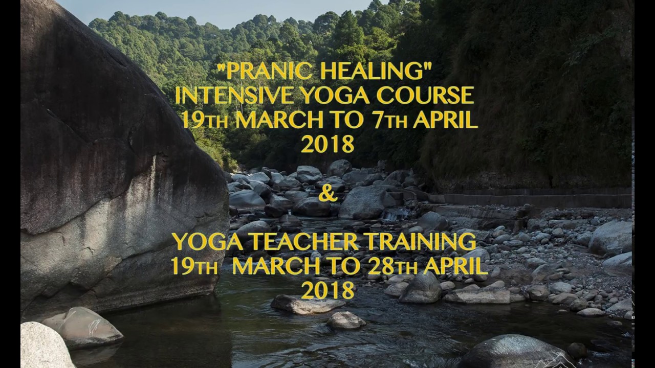 2018 PRANIC HEALING INTENSIVE YOGA COURSE & YOGA TEACHERS TRAINING bks iyengar books pdf