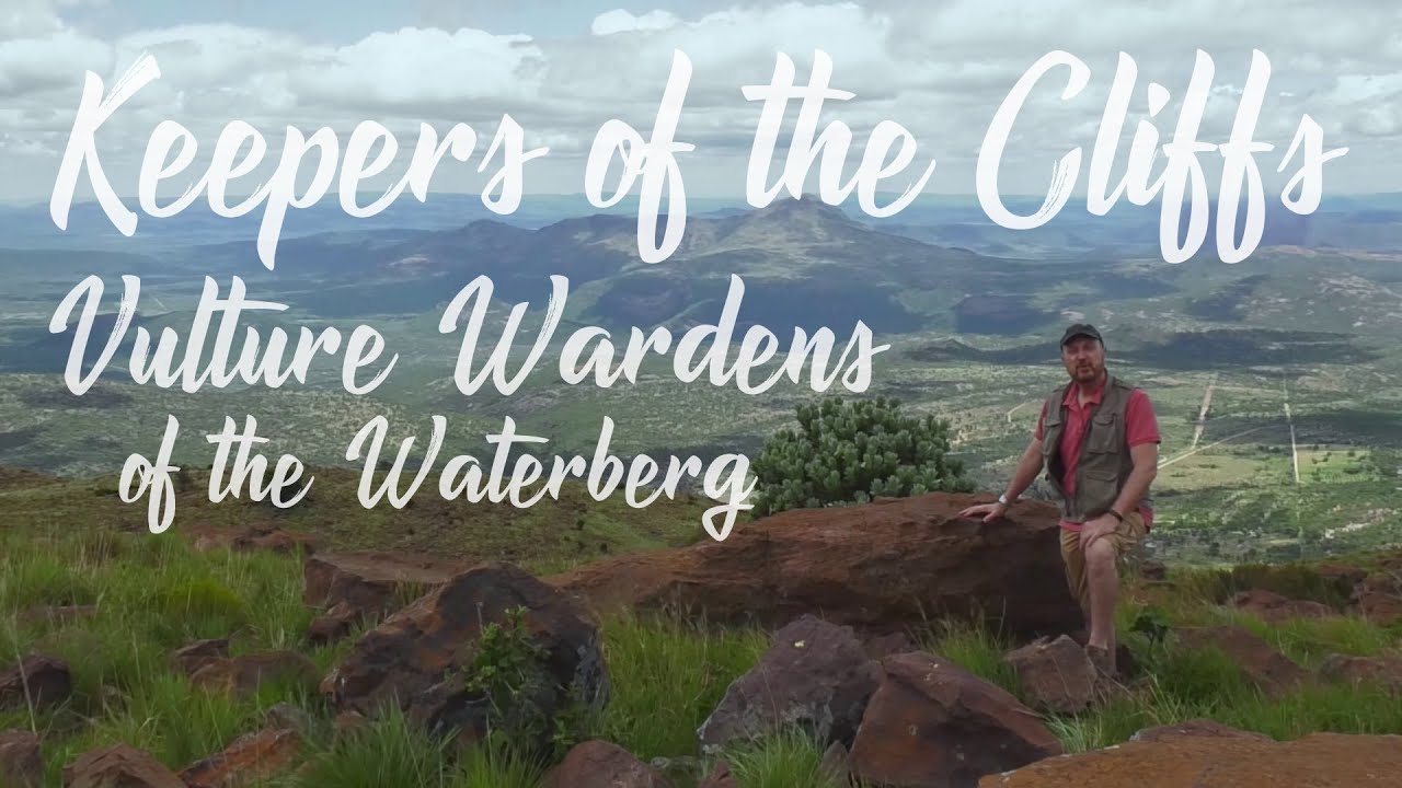 Just off the Highway | Episode 13 | "Endangered Cape Griffon Vultures of the Waterberg, South Africa