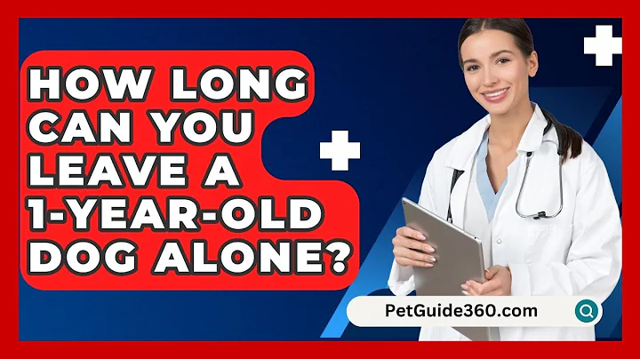 How Long Can You Leave A 1-Year-Old Dog Alone? - PetGuide360.com