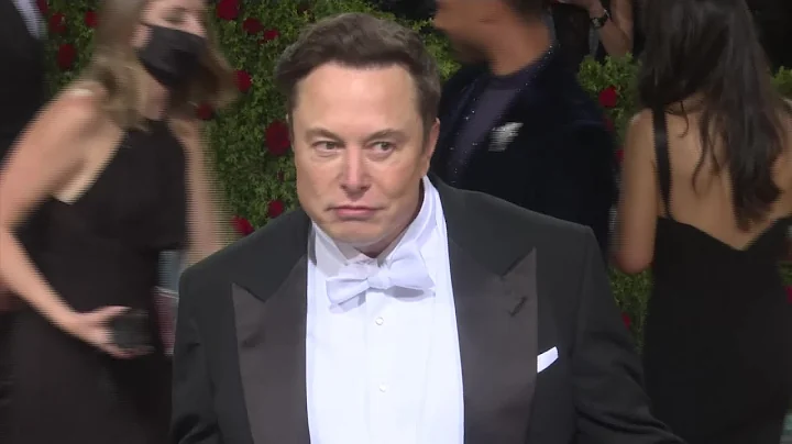 Watch Elon Musk Walk the Red Carpet With His Mom - DayDayNews