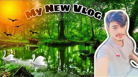 MY FIRST VLOG || My First Vlog On YouTube || My First Vlog 3rd Lahar