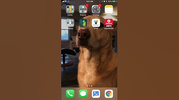 Apple iPhone crash Bug December 2, 2017 - Disable Notifications!