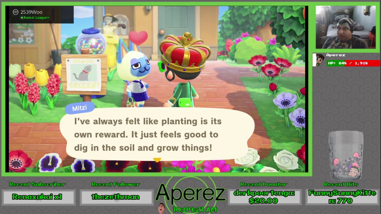 Animal Crossing: New Horizons - We MAY Buy Turnips To MAY-ke Some MAY
