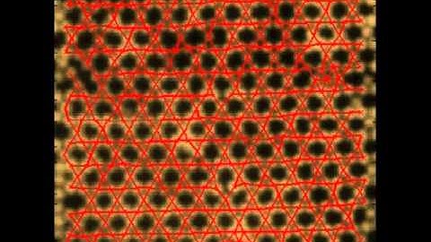 Lattice vibrations of a colloidal Kagome crystal