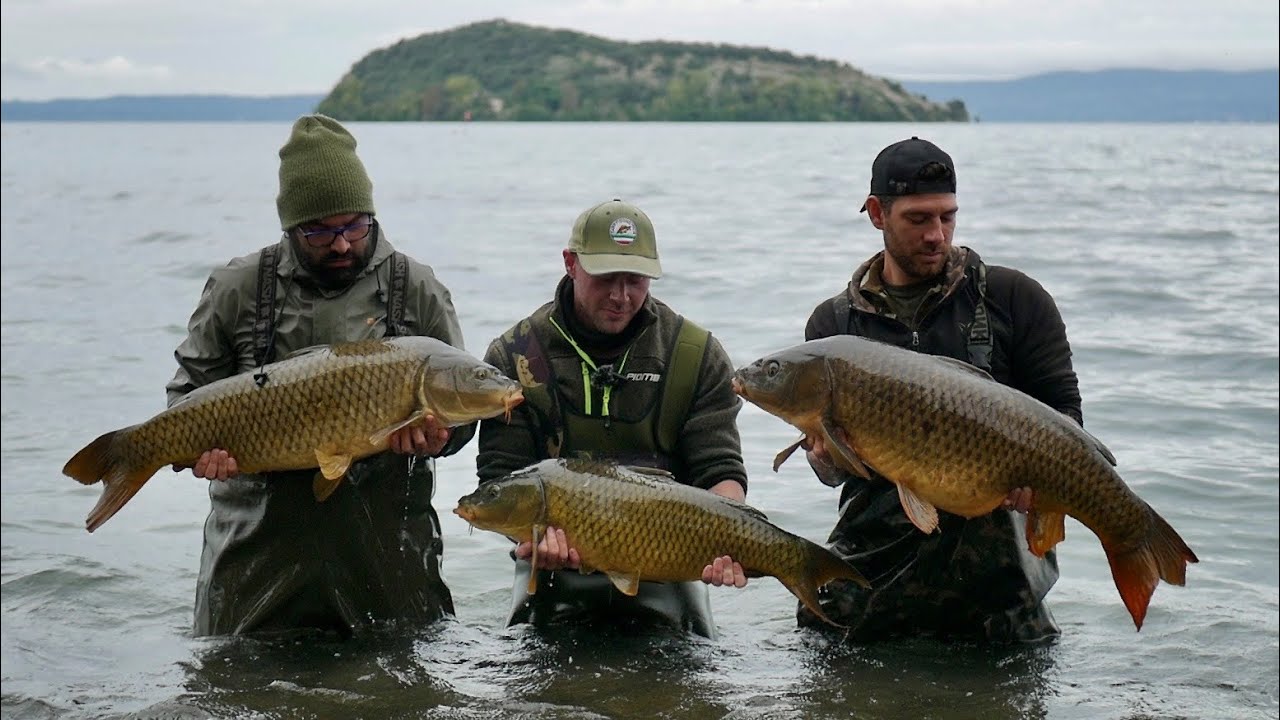 Bolsena | Carpfishing Business