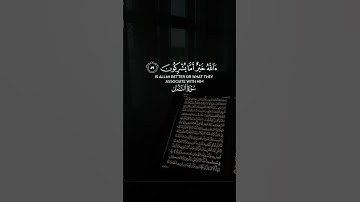 #ياسر_الدوسري #سورة_النمل #لا_اله_الا_الله #اكسبلور #اكسبلورهاشتاقات #دويتو #المصحف #لايك #duet