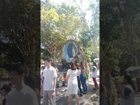 HAPPY FEAST DAY OUR LADY OF LOURDES 🎊🎇🎉