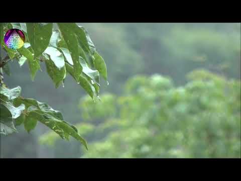    سورة الرحمن كامل عبد الرحمن مسعد   القراءات القرآنية الجميلة