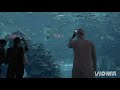 Dubai One 2012 Idents 4 