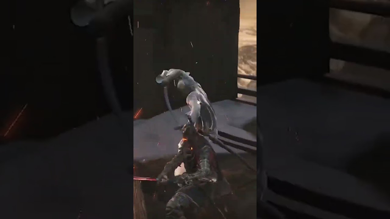 perfect deflection isshin's one mind & sneaky cough sekiro incarnation.