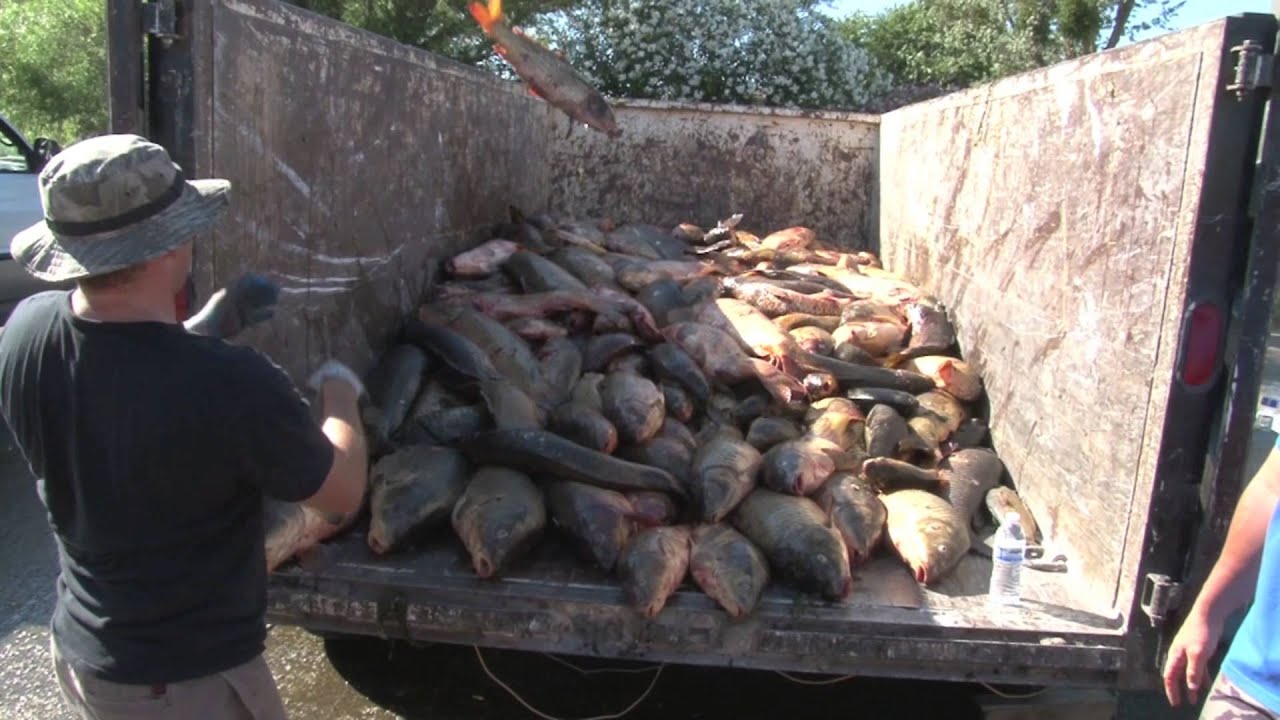 Relentless 365 6th Annual Shootout On The Delta