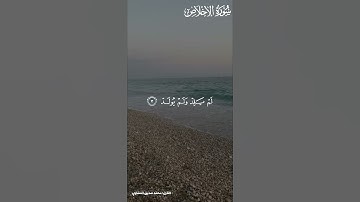سورة الإخلاص القارئ محمد صديق المنشاوي