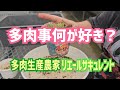 【多肉植物】多肉事何が好き？2026年9月23日