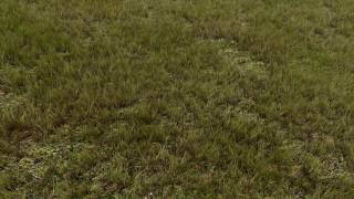 Arma 3  The sounds of combat