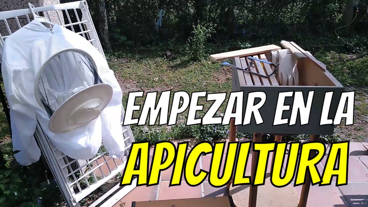 Beekeeping for Beginners | My First Hive | Getting Started in Beekeeping