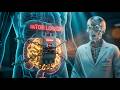 mTOR Explained: The Cellular Switch That Keeps Visceral Fat Locked In Place
