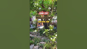 QUÁN CÀ PHÊ VƯỜN KHÔNG GIAN SIÊU MÁT 😚😚 #danang #sco #viral #shortvideos #caphe #chill #ikigai