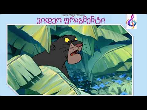 მაკა სეხნიაშვილი 57259