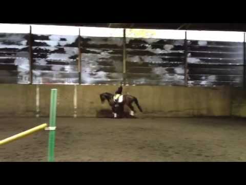 Classic Primitive Eventing Stallion - with Tom Graham Working at home ...