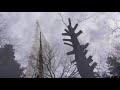 岩角寺の大梵天